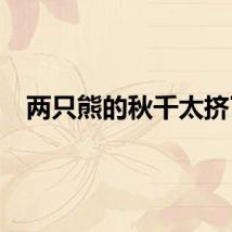 两只熊的秋千太挤了