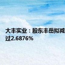 大丰实业:股东丰岳拟减持不超过2.6876%
