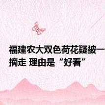 福建农大双色荷花疑被一对情侣摘走 理由是“好看”