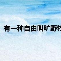 有一种自由叫旷野牧羊