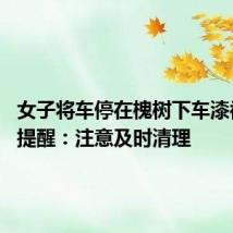 女子将车停在槐树下车漆被腐蚀 提醒:注意及时清理