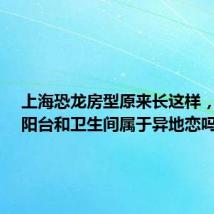 上海恐龙房型原来长这样,网友:阳台和卫生间属于异地恋吗?