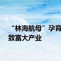 “林海航母”孕育千万致富大产业