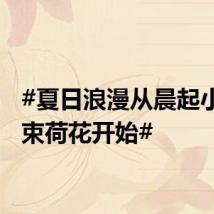 #夏日浪漫从晨起小摊买束荷花开始#
