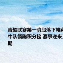 青超联赛第一阶段落下帷幕 玉树牦牛队领跑积分榜 赛事迎来三周间歇期