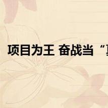 项目为王 奋战当“夏”
