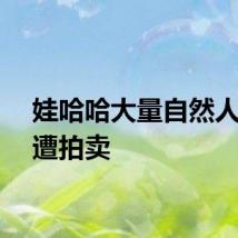 娃哈哈大量自然人股份遭拍卖
