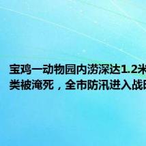 宝鸡一动物园内涝深达1.2米,有禽类被淹死,全市防汛进入战时状态