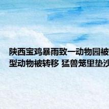陕西宝鸡暴雨致一动物园被淹:小型动物被转移 猛兽笼里垫沙袋