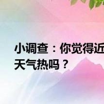 小调查：你觉得近期的天气热吗？