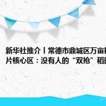 新华社推介丨常德市鼎城区万亩粮食示范片核心区:没有人的“双抢”稻田