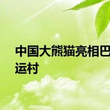中国大熊猫亮相巴黎奥运村