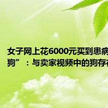 女子网上花6000元买到患病“美颜狗”:与卖家视频中的狗存在差异