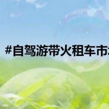 #自驾游带火租车市场#