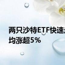 两只沙特ETF快速走高 均涨超5%