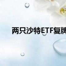 两只沙特ETF复牌