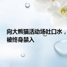 向大熊猫活动场吐口水，这4人被终身禁入