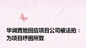 华润置地回应项目公司被法拍：为项目纾困所致