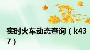 实时火车动态查询（k437）