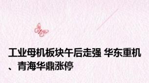 工业母机板块午后走强 华东重机、青海华鼎涨停