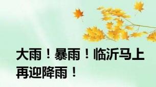 大雨！暴雨！临沂马上再迎降雨！