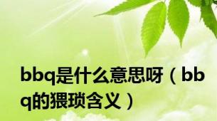 bbq是什么意思呀（bbq的猥琐含义）