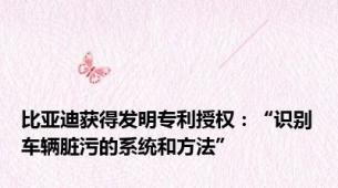 比亚迪获得发明专利授权：“识别车辆脏污的系统和方法”