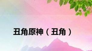 丑角原神（丑角）