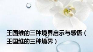 王国维的三种境界启示与感悟（王国维的三种境界）