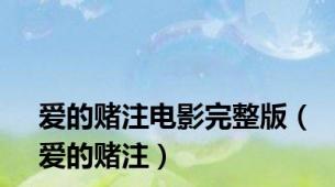 爱的赌注电影完整版（爱的赌注）