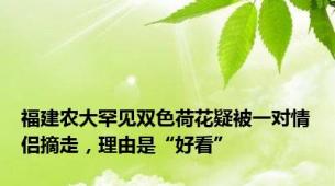 福建农大罕见双色荷花疑被一对情侣摘走，理由是“好看”