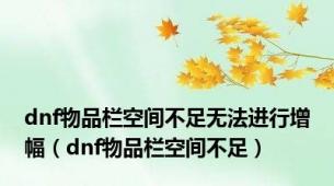 dnf物品栏空间不足无法进行增幅（dnf物品栏空间不足）