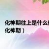 化神期往上是什么修为（化神期）