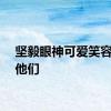 坚毅眼神可爱笑容都是他们