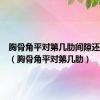 胸骨角平对第几肋间隙还是软骨（胸骨角平对第几肋）