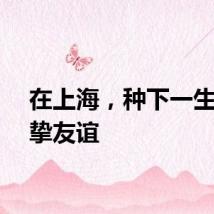 在上海，种下一生的真挚友谊