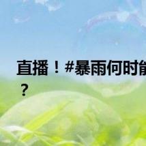 直播！#暴雨何时能停#？