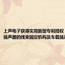 上声电子获得实用新型专利授权:“一种扬声器的线束固定机构及车载扬声器”