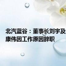 北汽蓝谷:董事长刘宇及经理代康伟因工作原因辞职