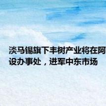 淡马锡旗下丰树产业将在阿布扎比设办事处，进军中东市场
