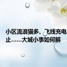小区流浪猫多、飞线充电屡禁不止……大城小事如何解