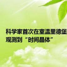 科学家首次在室温里德堡气体中观测到“时间晶体”