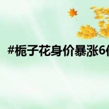 #栀子花身价暴涨6倍#