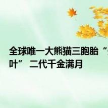 全球唯一大熊猫三胞胎“开枝散叶” 二代千金满月