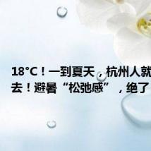 18°C!一到夏天,杭州人就往这里去!避暑“松弛感”,绝了!