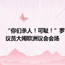 “你们杀人!可耻!”罗马尼亚议员大闹欧洲议会会场