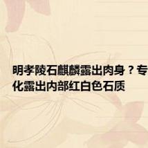 明孝陵石麒麟露出肉身?专家:风化露出内部红白色石质
