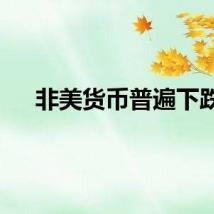 非美货币普遍下跌