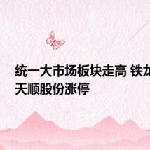 统一大市场板块走高 铁龙物流、天顺股份涨停