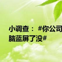 小调查: #你公司的电脑蓝屏了没#